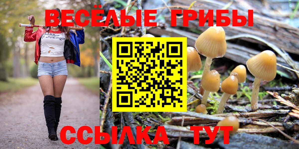 Тавда  Галлюциногенные грибы Magic Shrooms  Вход с VPN  Псилоцибиновые грибы Psilocybe 